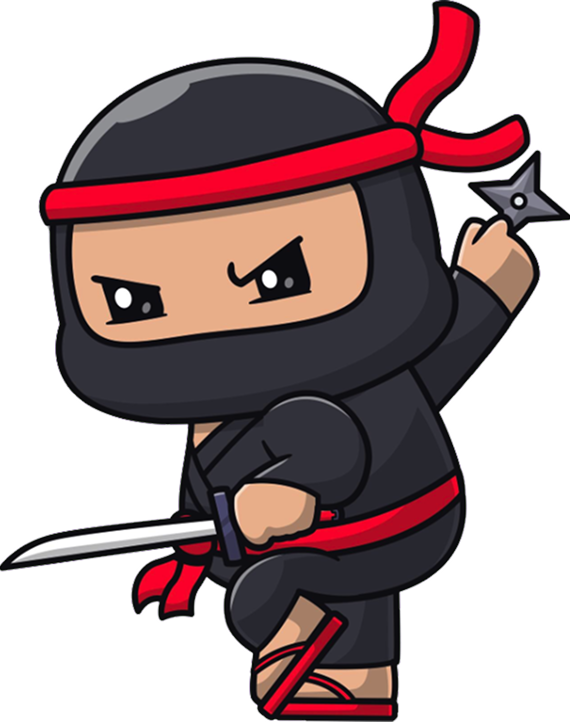 hero ninja